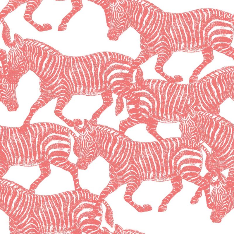 coral zebras wallpaper 2