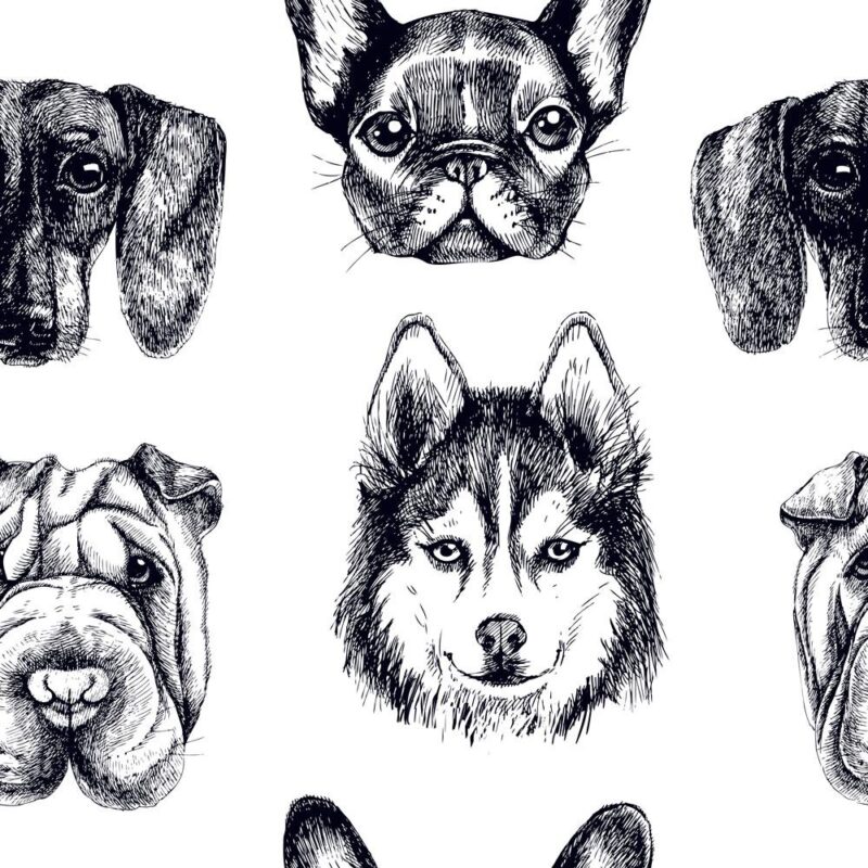 doggie portraits wallpaper