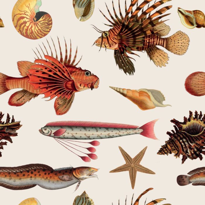 exotic fish wallpaper 2
