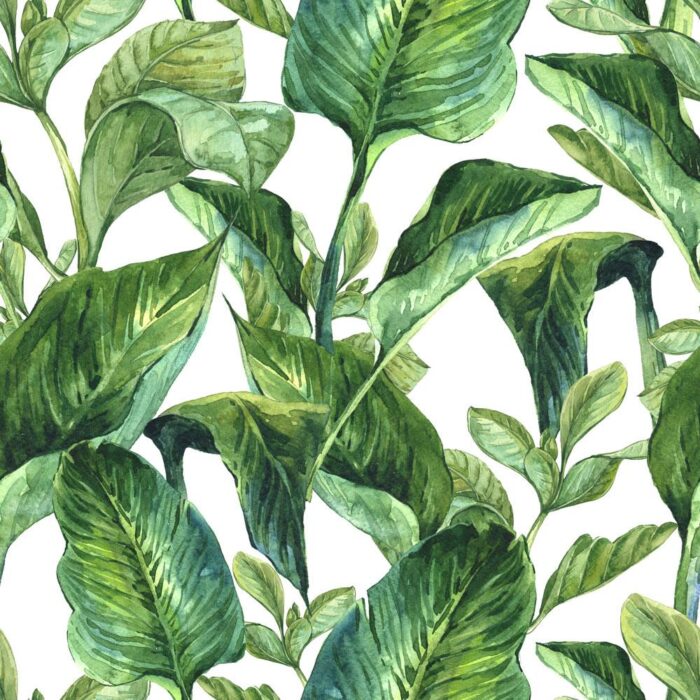 exotic greenery wallpaper 2