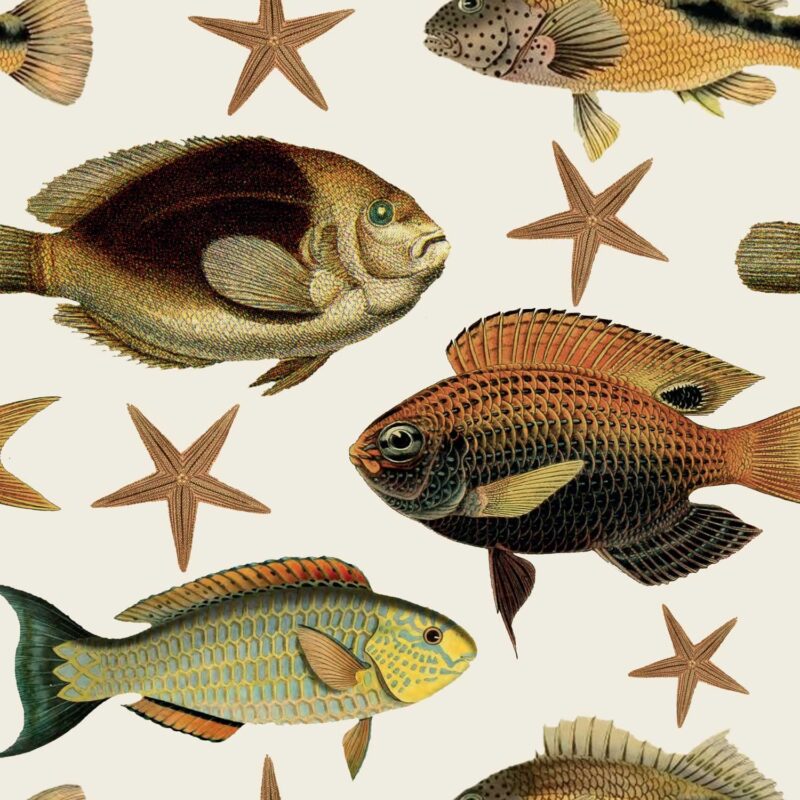 fish tale wallpaper 2