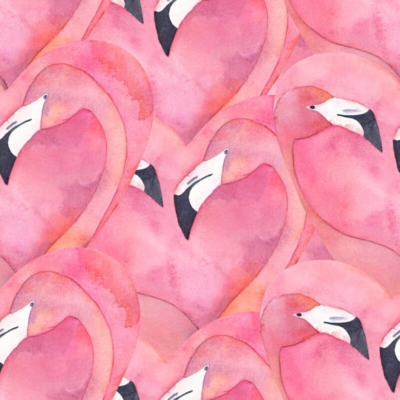 flamingo love wallpaper 2