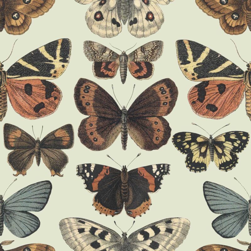 fly by butterfly wallpaper 2