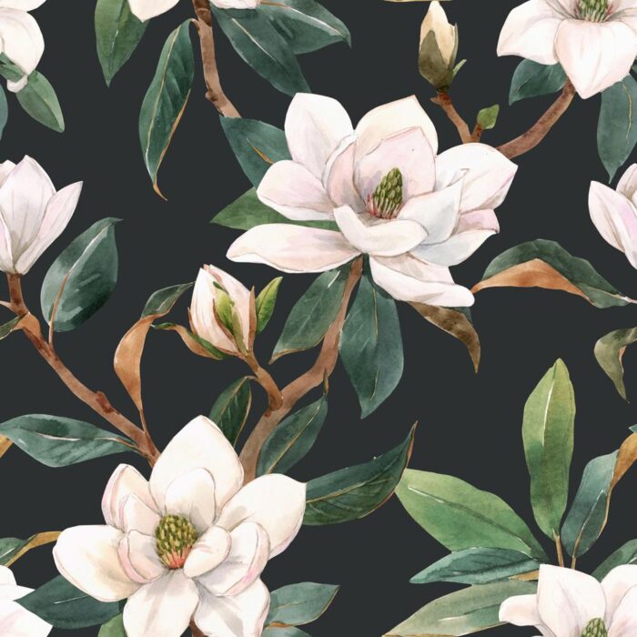 gentle magnolia wallpaper 2