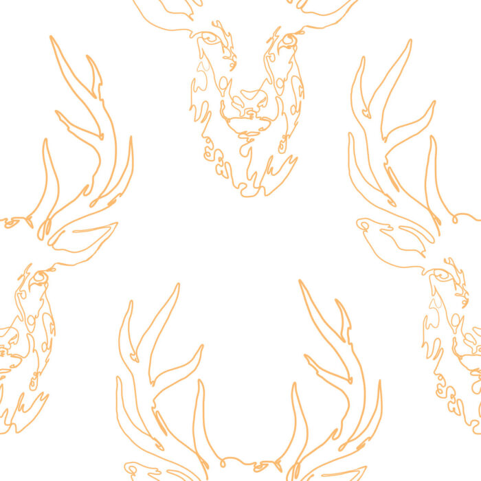 honey deer wallpaper