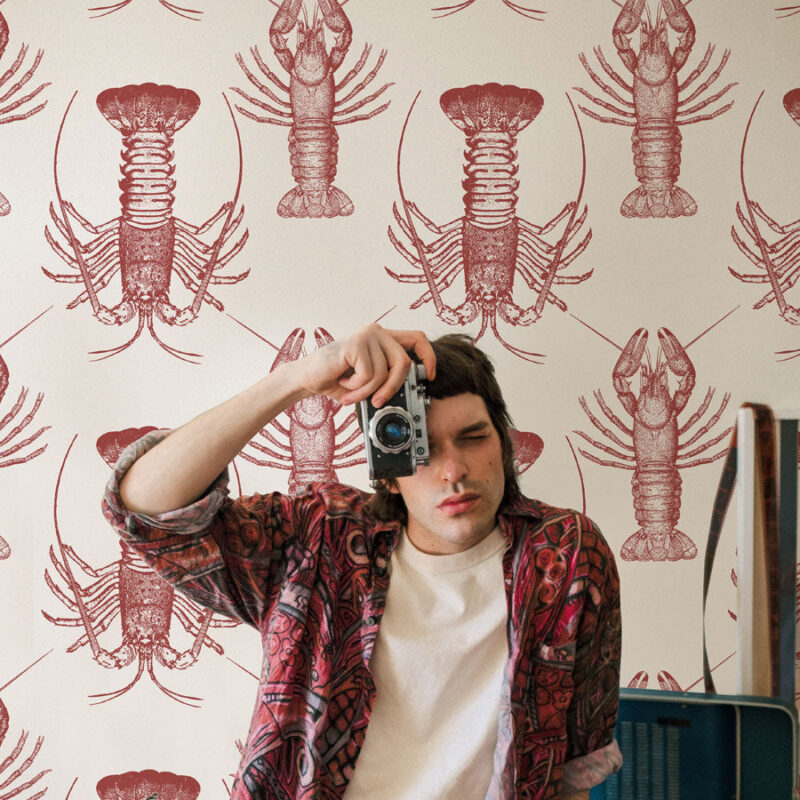 my lobster wallpaper 2