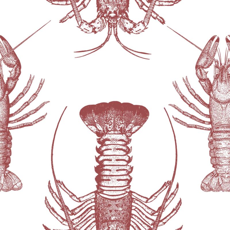 my lobster wallpaper