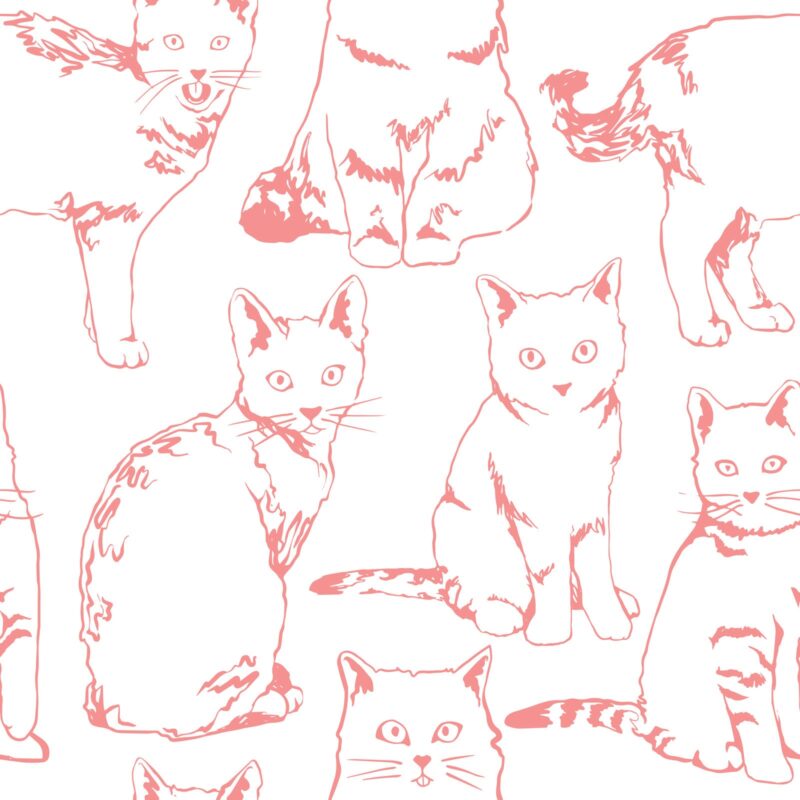 red cats wallpaper 2