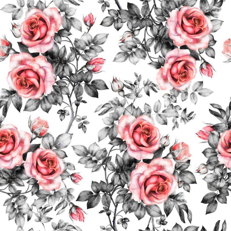 rose in pastel wallpaper
