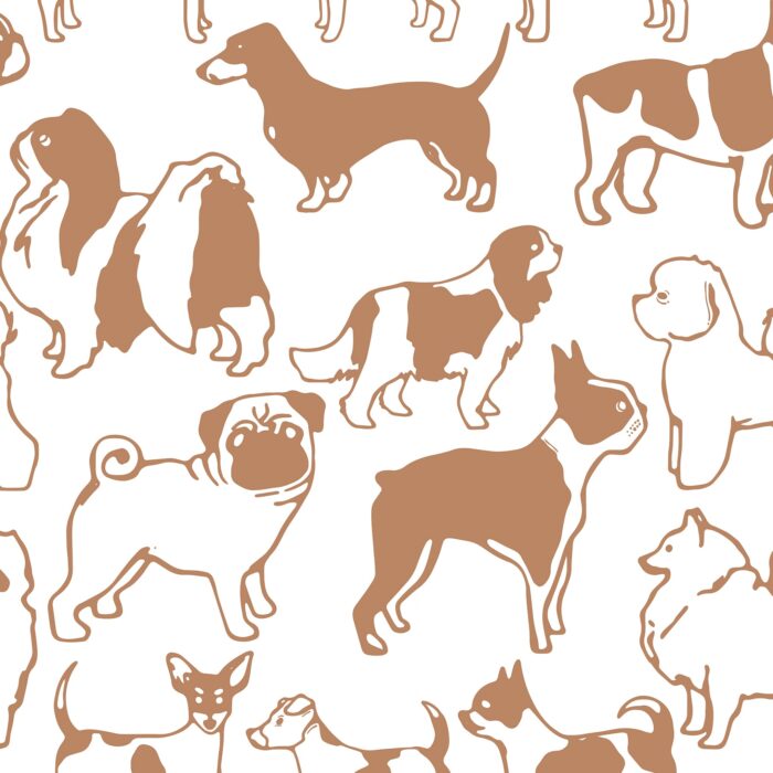 dog park wallpaper