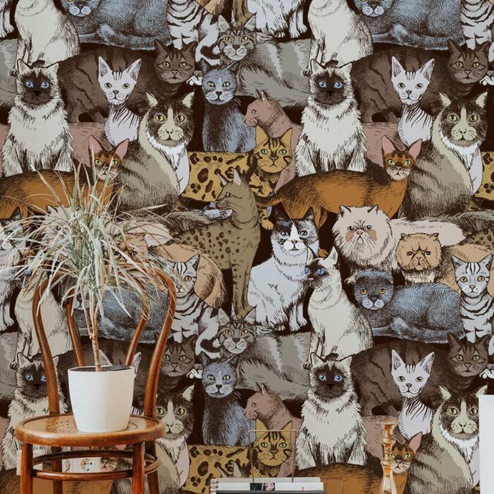 band of cats wallpaper