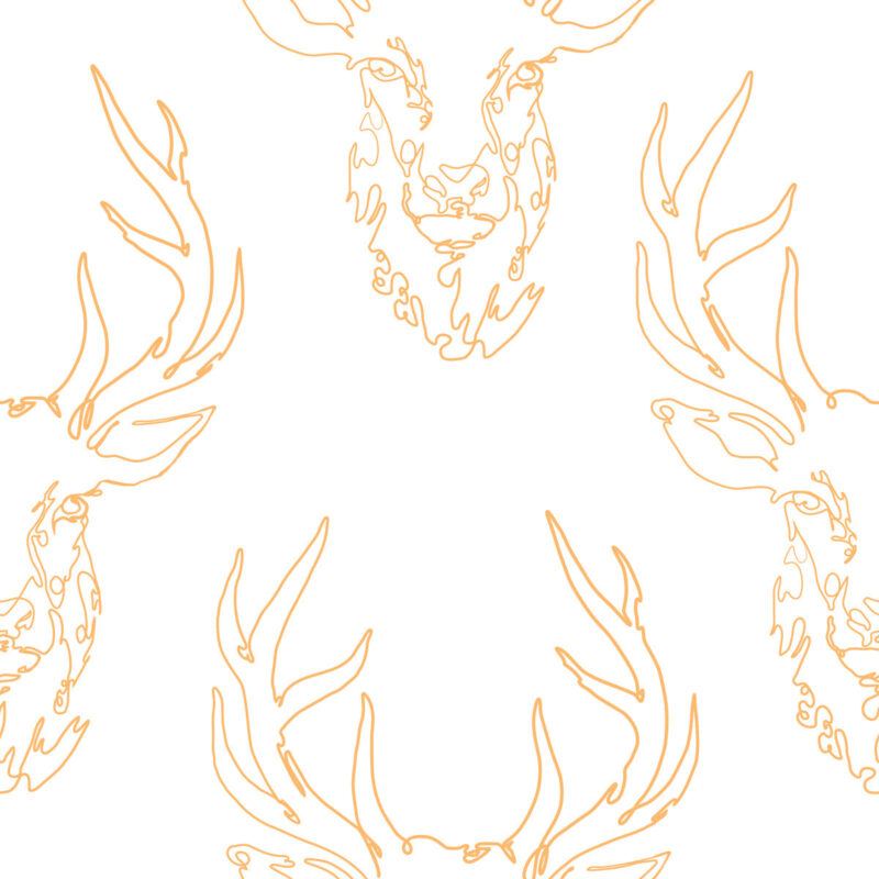 honey deer wallpaper