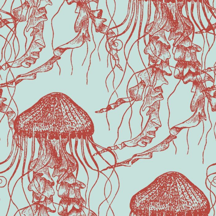 red jellyfish wallpaper 2