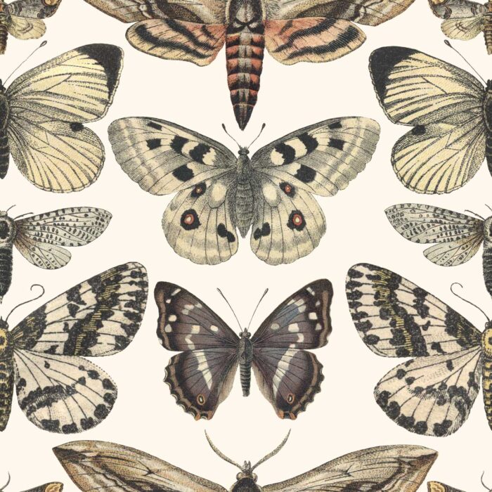 vintage butterfly wallpaper 2