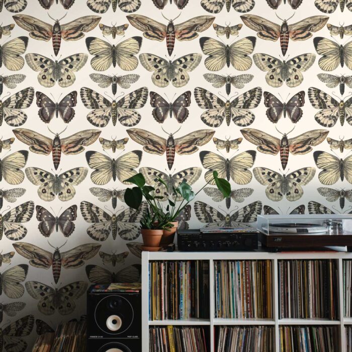 vintage butterfly wallpaper 4