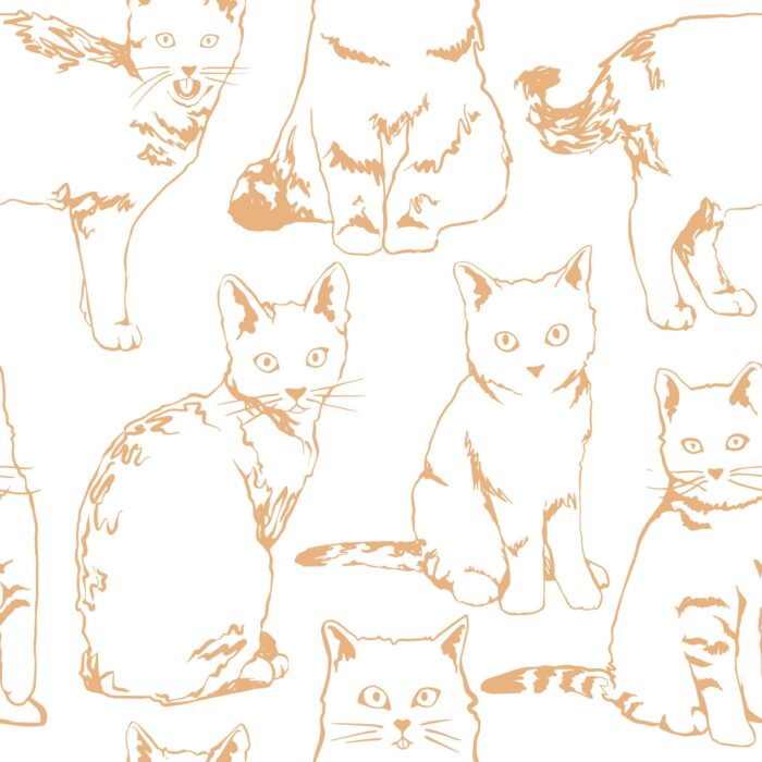 orange cats wallpaper 2